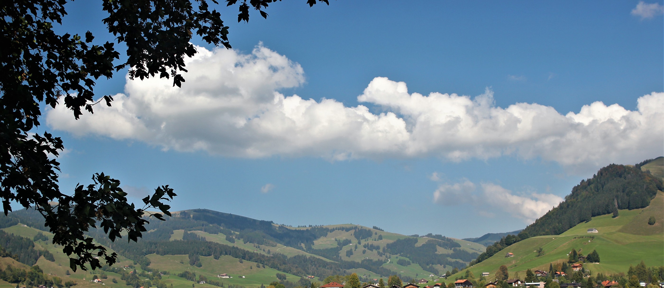 paysage Fribourgeois